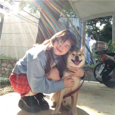 真爱骗子小娇妻