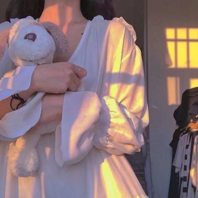 自古英雄出少年之岳飞